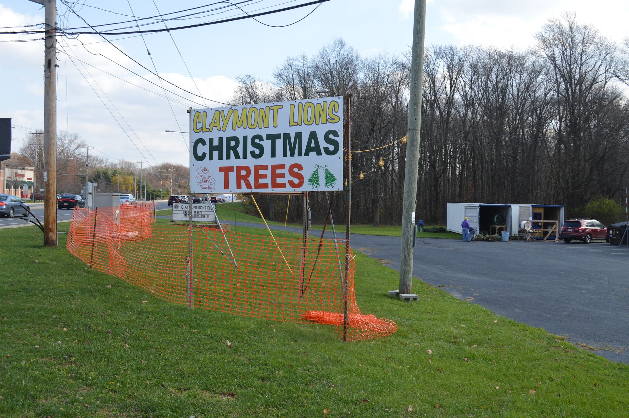Christmas Tree Sale